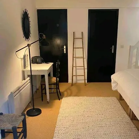 Loft/jardin Et Parking : Le Petit Clos Bourdet Apartment *